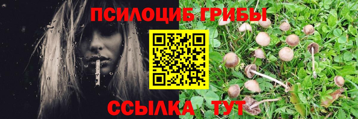 Галлюциногенные грибы мицелий Удомля